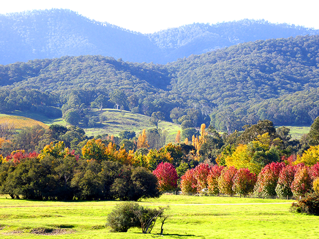 Beautiful ValleyPhotography by Sharon Alston